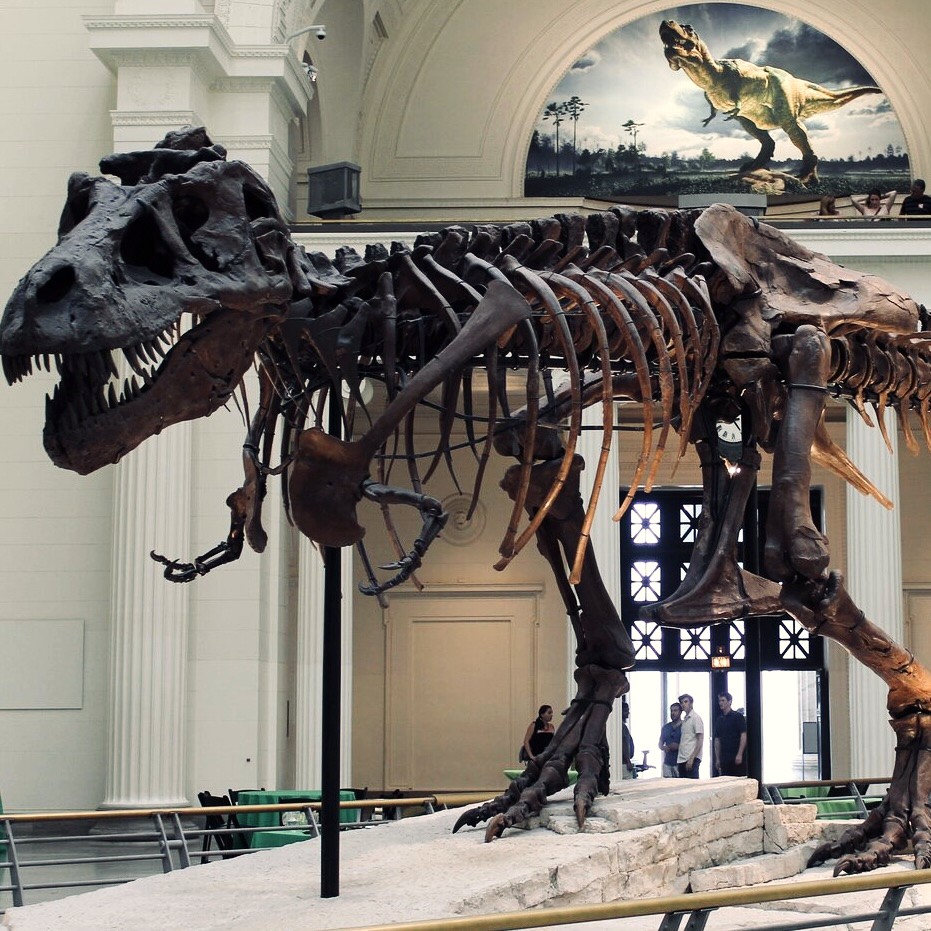 Field Museum in Chicago's Museum Campus