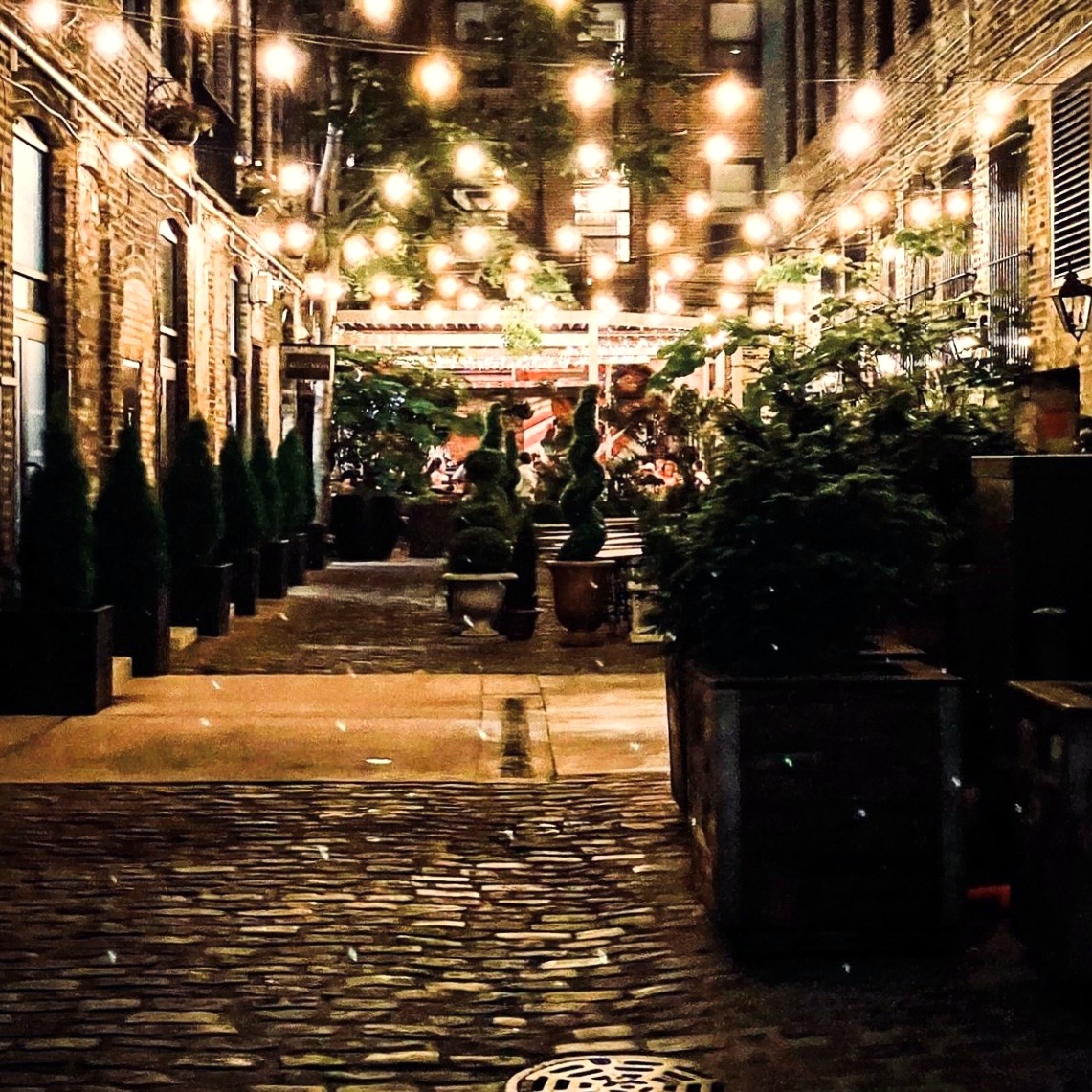 Gin Alley in the West Loop